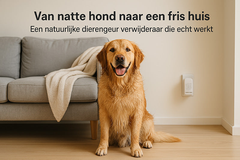 Van natte hond naar een fris huis, Een natuurlijke dierengeur verwijderaar die echt werkt