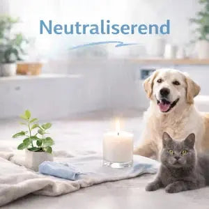 Neutraliserende geuren – Weg met nare luchtjes, welkom frisse sfeer GeurFris.nl