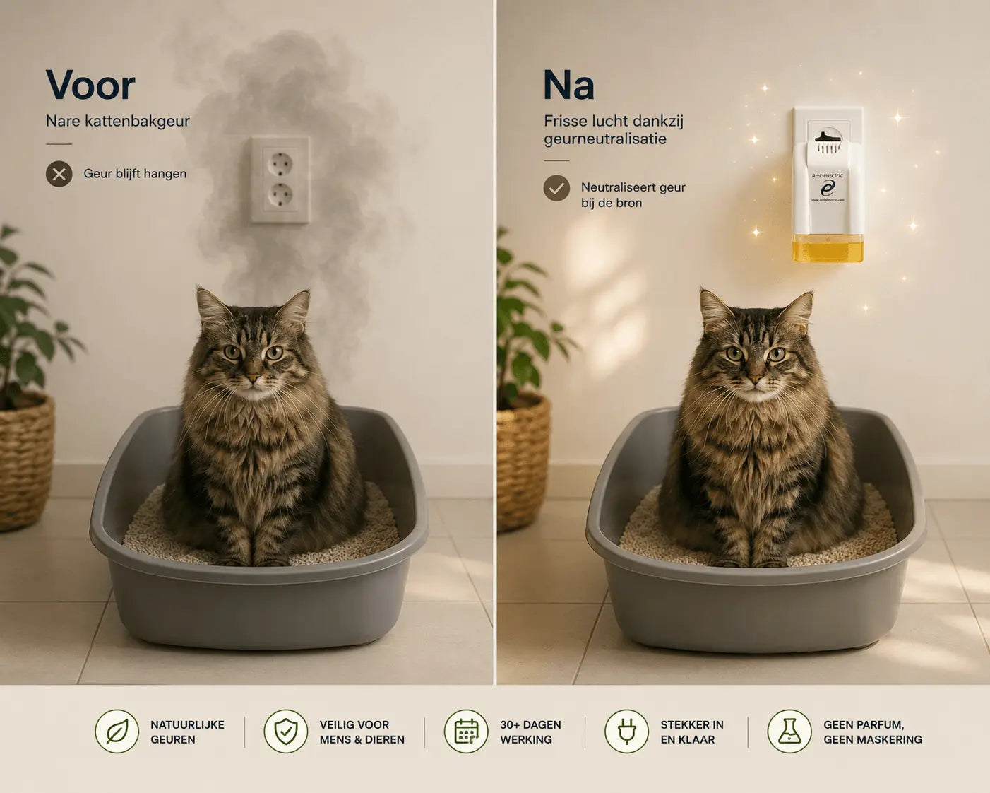 Starterset tegen dierengeuren - Citrus